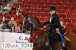 12buck_6246 proof