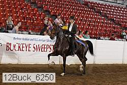 12buck_6250 proof