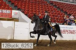 12buck_6252 proof
