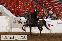 12buck_6256 proof