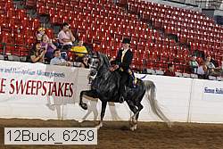 12buck_6259 proof