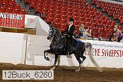 12buck_6260 proof