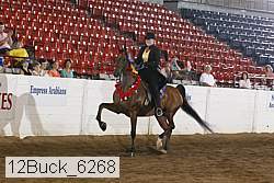 12buck_6268 proof