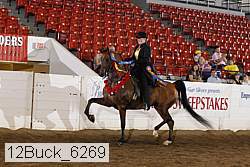 12buck_6269 proof