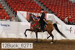 12buck_6271 proof