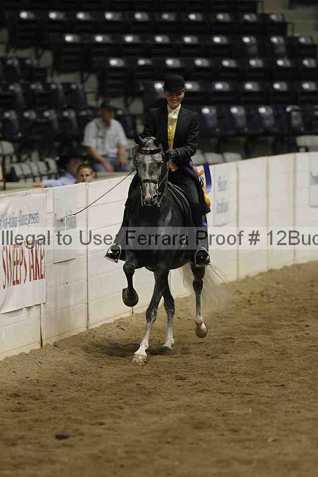 Proof 12buck_6274