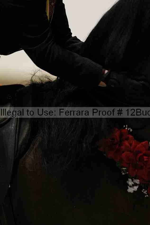Proof 12buck_6281