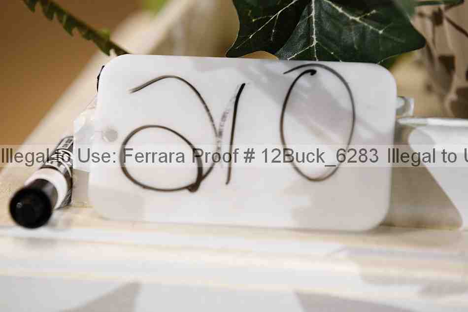 Proof 12buck_6283