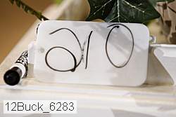 12buck_6283 proof