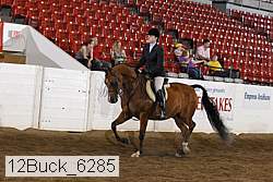 12buck_6285 proof