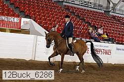 12buck_6286 proof