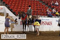 12buck_6288 proof