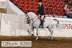 12buck_6289 proof