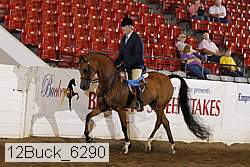 12buck_6290 proof