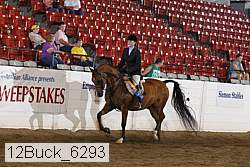 12buck_6293 proof