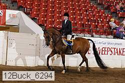 12buck_6294 proof