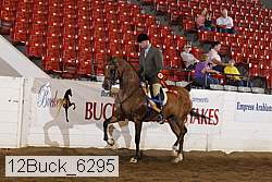12buck_6295 proof