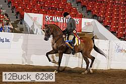 12buck_6296 proof