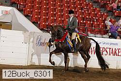 12buck_6301 proof