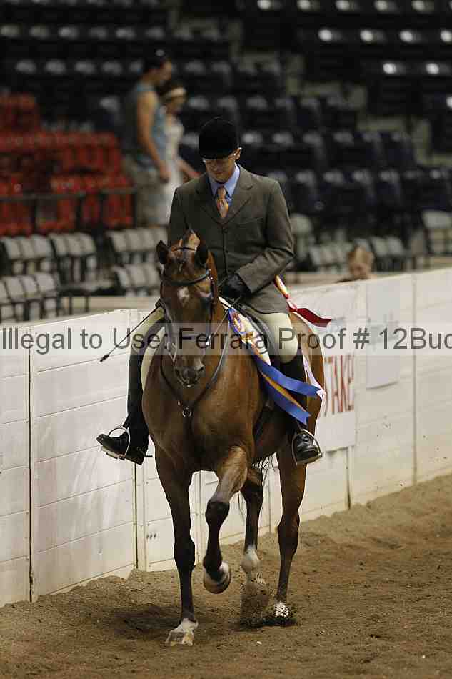 Proof 12buck_6307