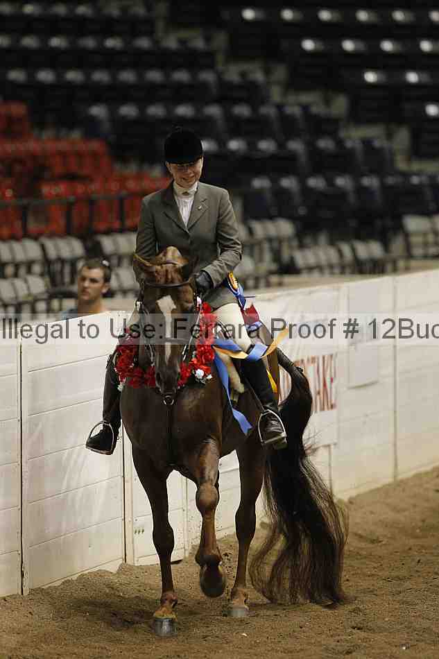 Proof 12buck_6310