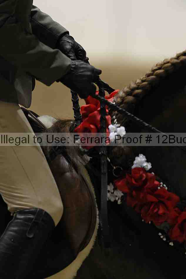 Proof 12buck_6313