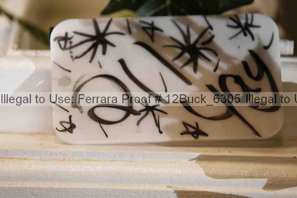 Proof 12buck_6305