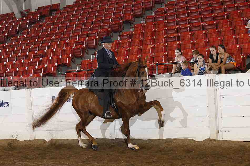Proof 12buck_6314