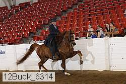 12buck_6314 proof