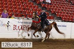 12buck_6317 proof