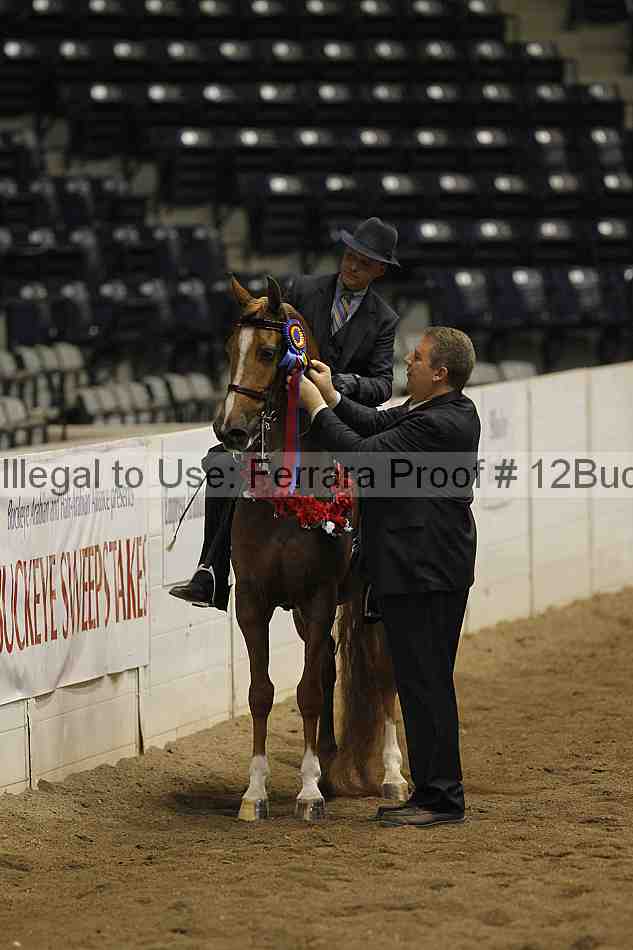 Proof 12buck_6318