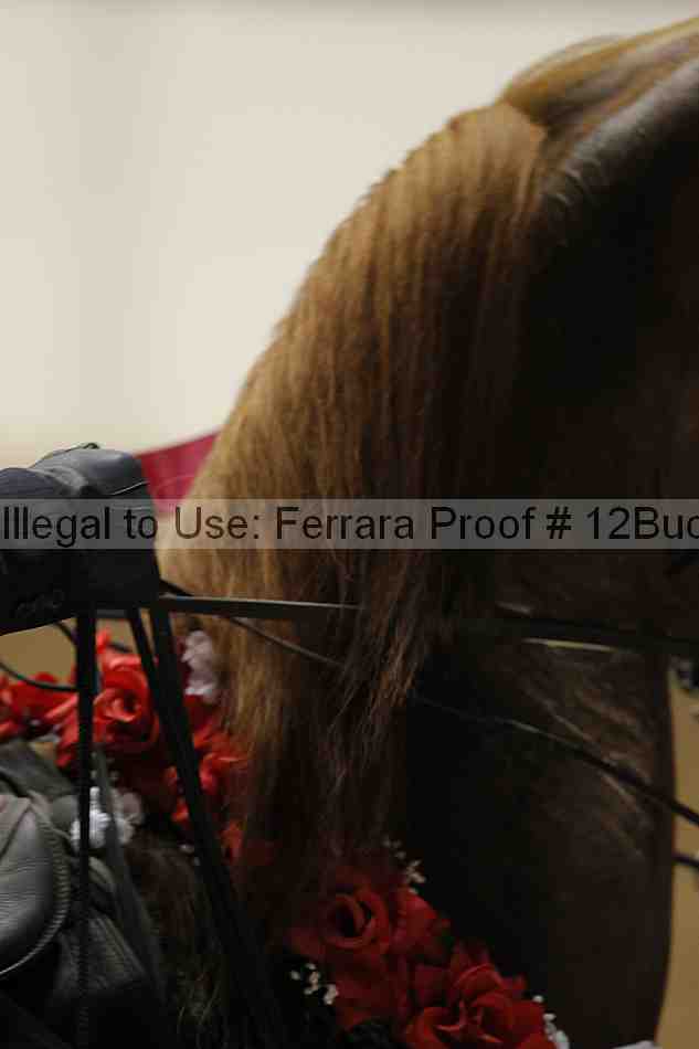 Proof 12buck_6320