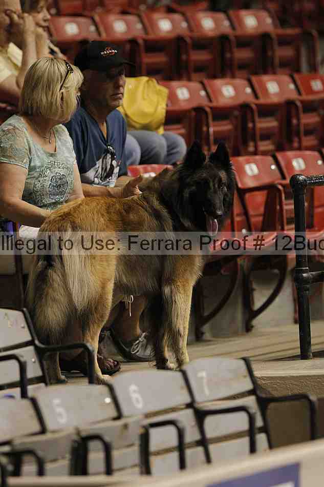 Proof 12buck_0455