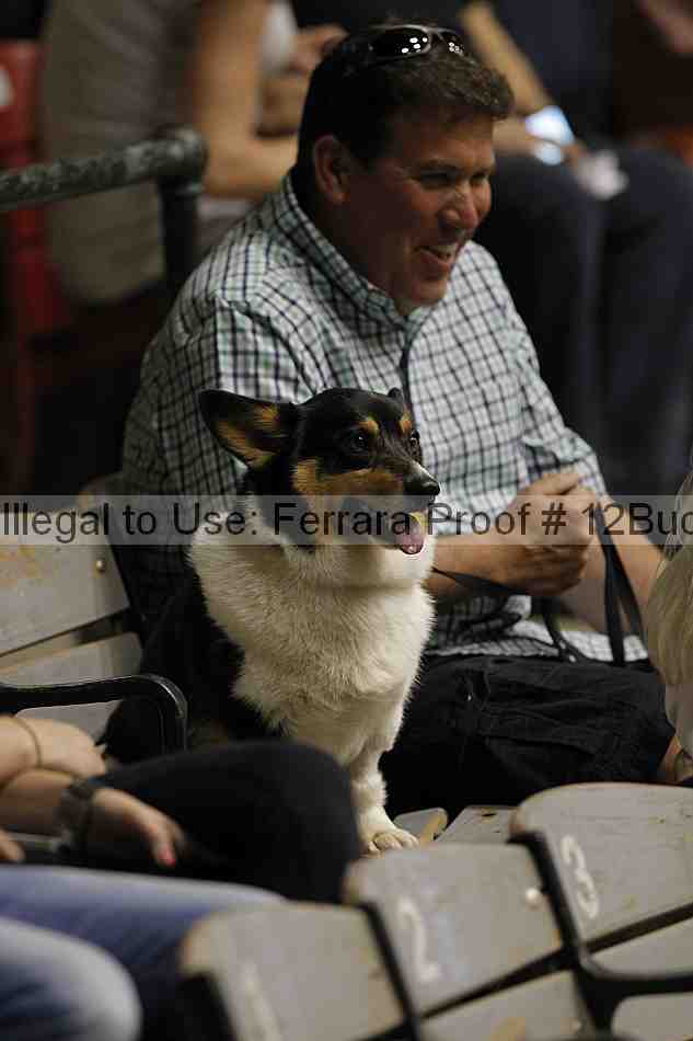 Proof 12buck_0909
