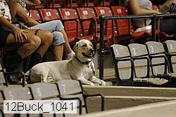 12buck_1041 proof