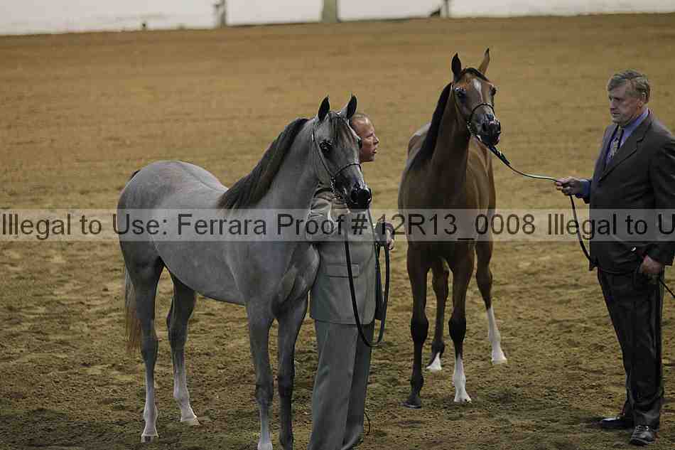 Proof 12r13_0008