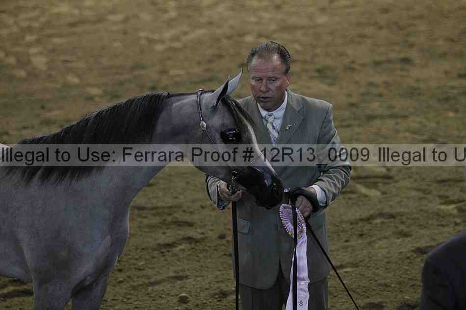 Proof 12r13_0009
