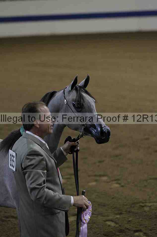 Proof 12r13_0014