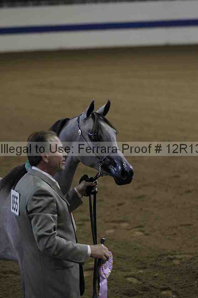 Proof 12r13_0015