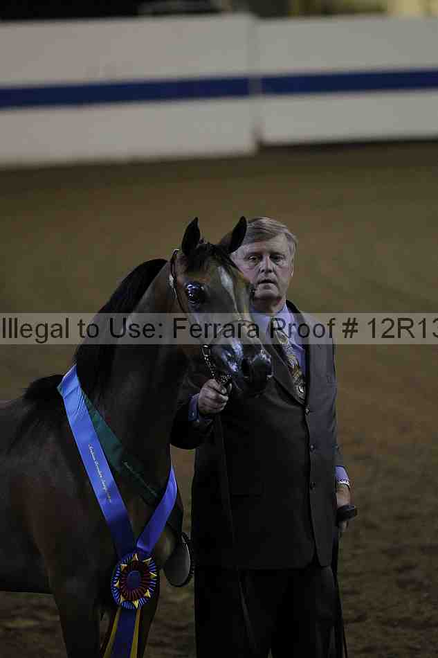 Proof 12r13_0018