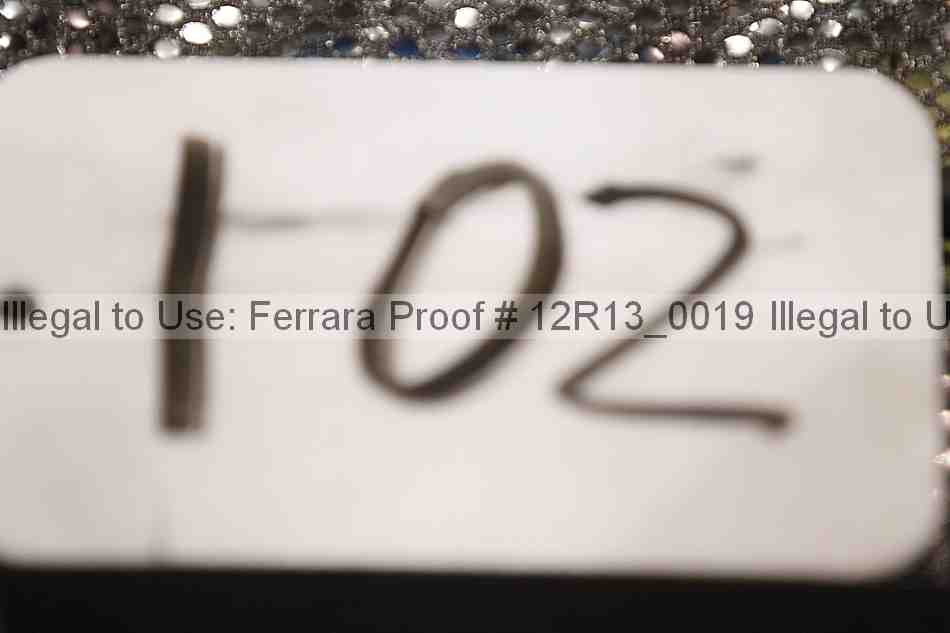 Proof 12r13_0019