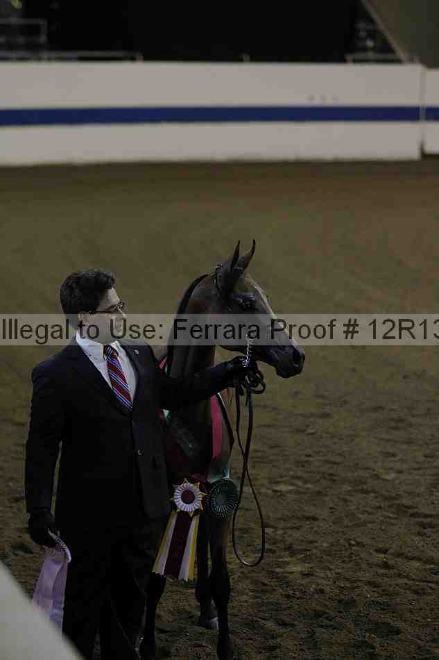Proof 12r13_0022