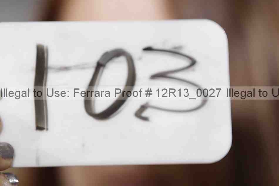 Proof 12r13_0027