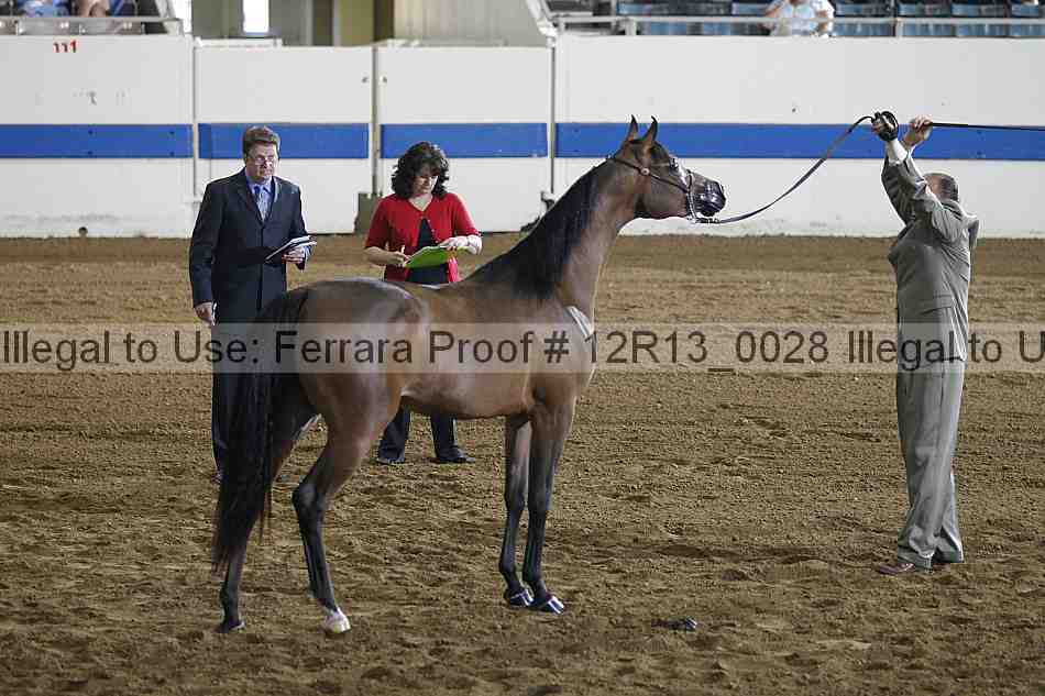 Proof 12r13_0028