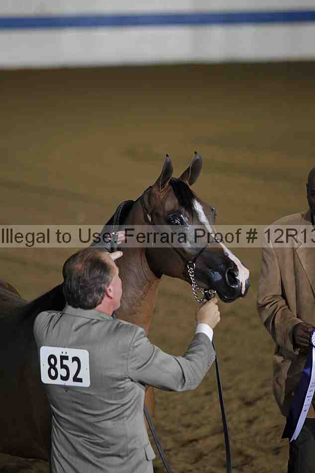 Proof 12r13_0030