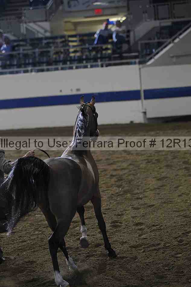 Proof 12r13_0037