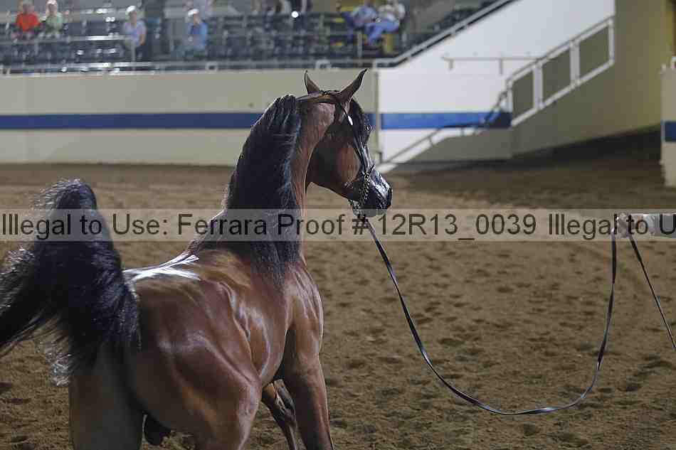 Proof 12r13_0039