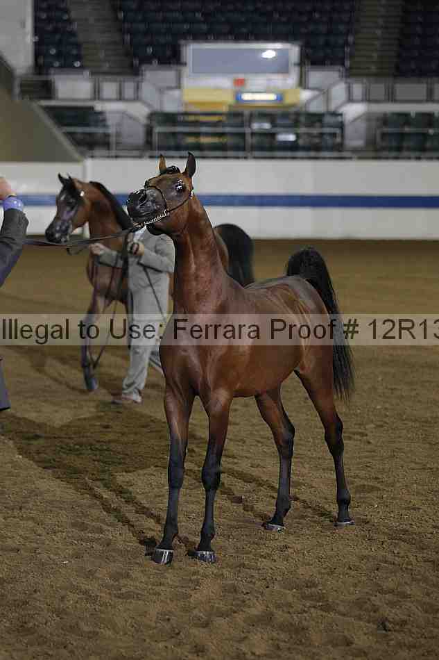 Proof 12r13_0041