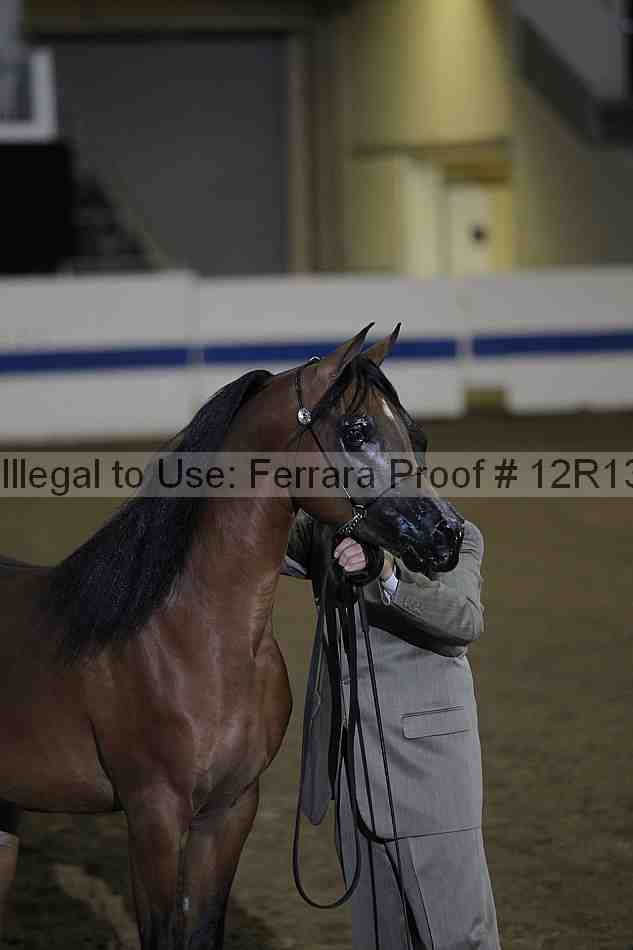 Proof 12r13_0042