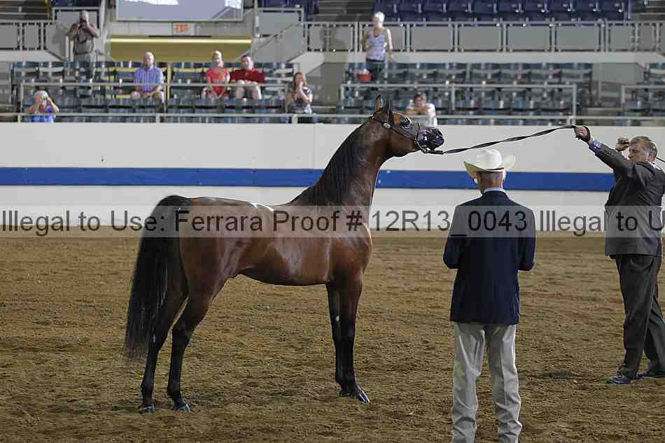 Proof 12r13_0043